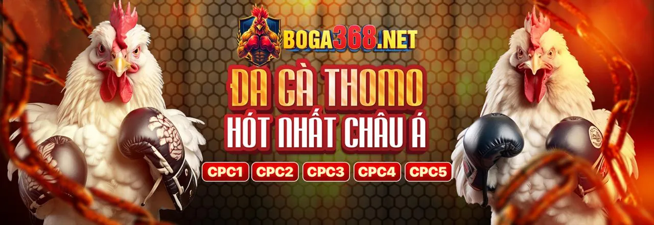 Banner ưu đãi tải vvvvwin 2026